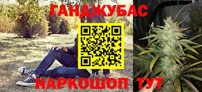сатива Кулебаки