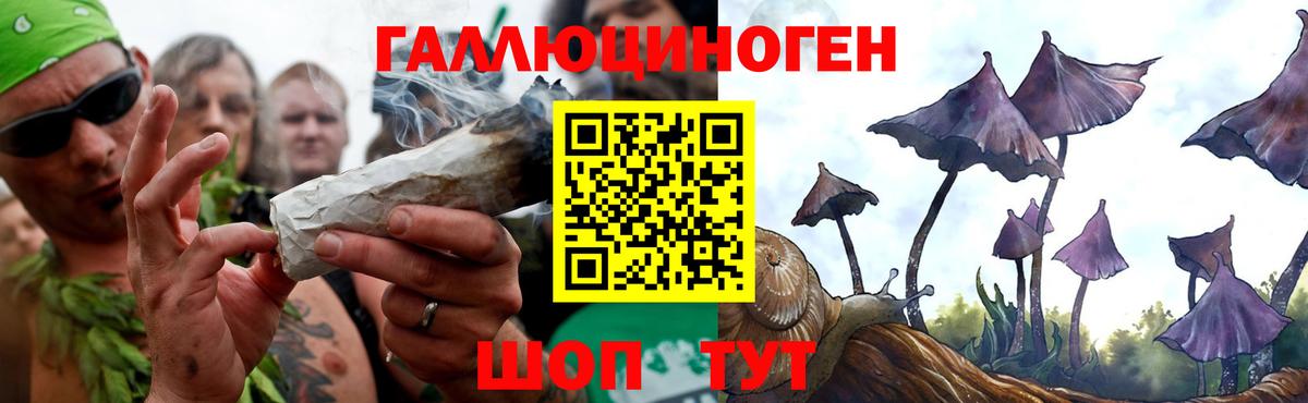 Галлюциногенные грибы мухоморы  Вход с VPN  Шатура  Галлюциногенные грибы мицелий 